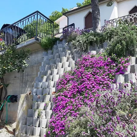 Mit Traumhafter Aussicht 公寓